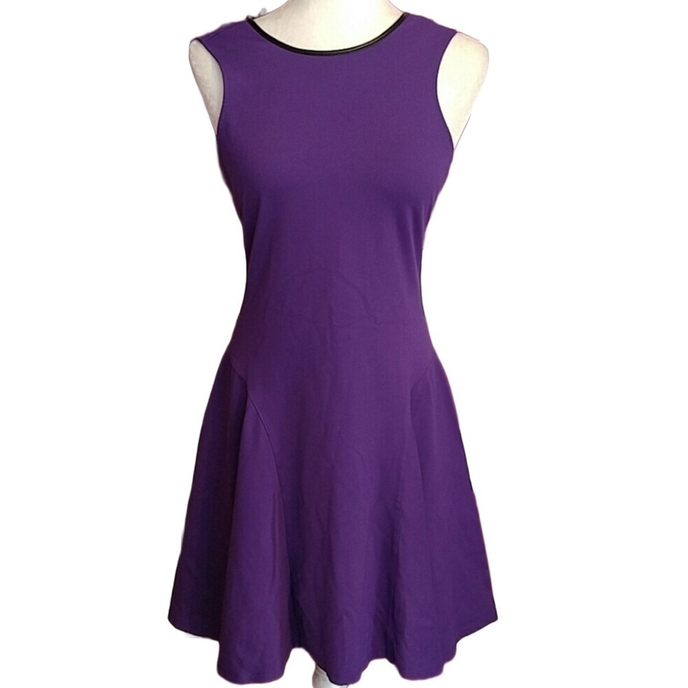 Ralph Lauren Purple Flare Dress XS
